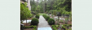 Chapel Hill Landscape Design